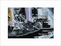 AFFICHES DECHIREES 3